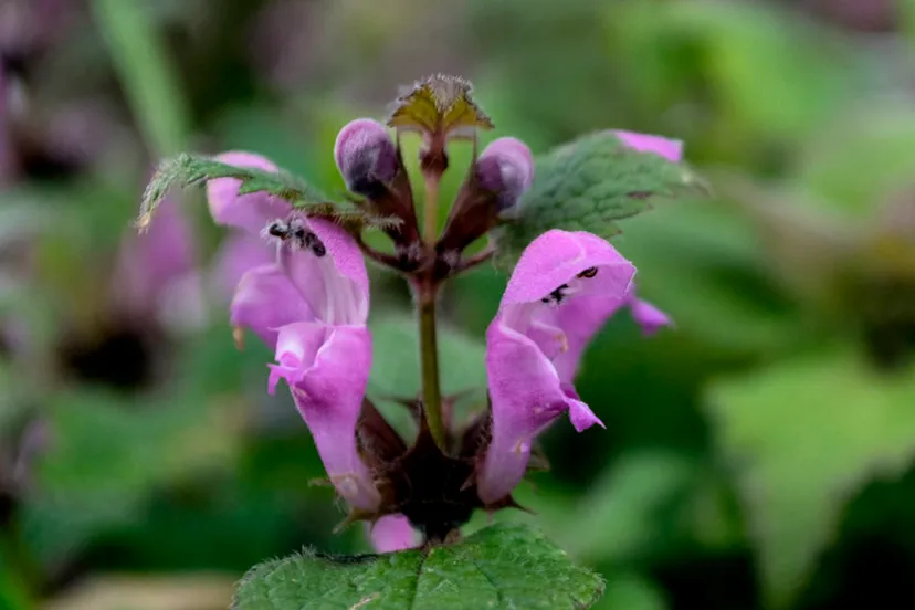 screenshot 20221225 131209