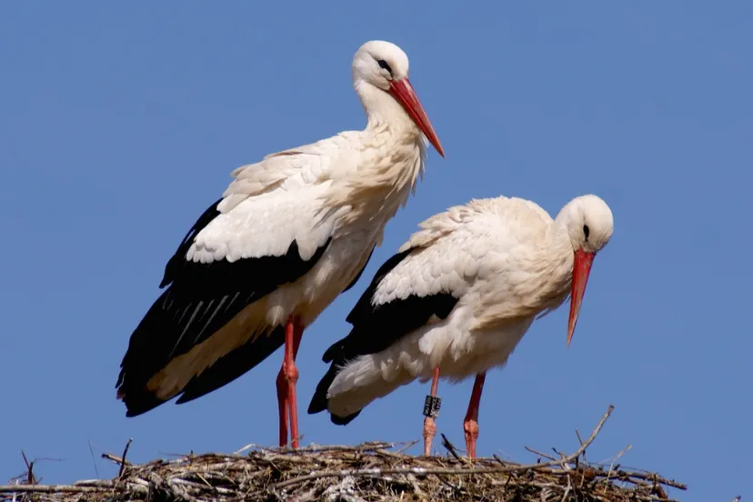 screenshot 20221230 103919