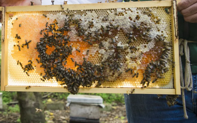 screenshot 20221231 093254