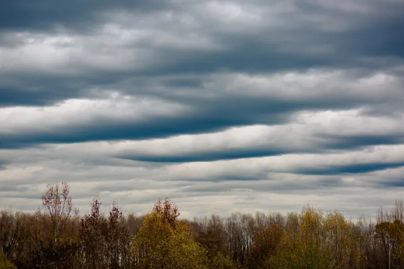 screenshot 20230114 123727