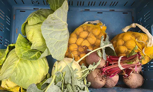 screenshot 20230116 154533