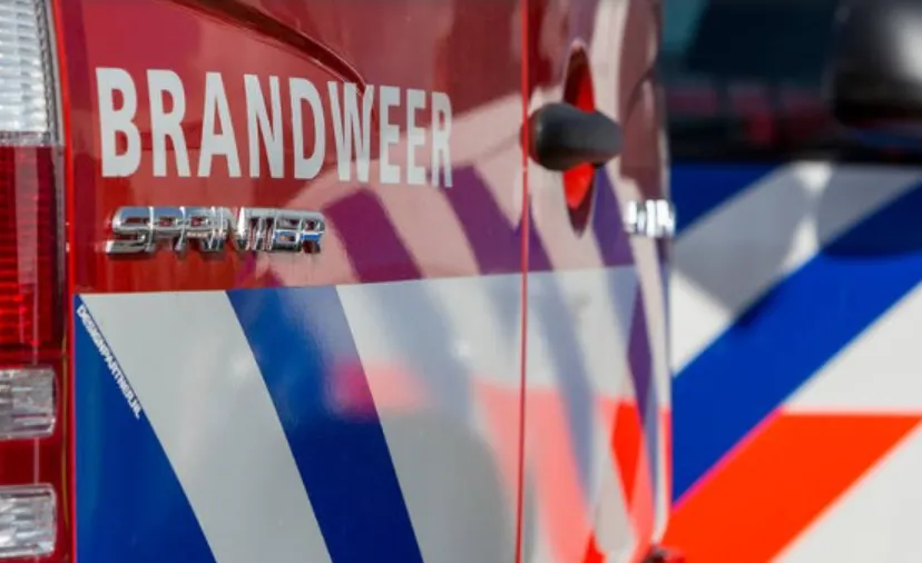 screenshot 20230117 105930