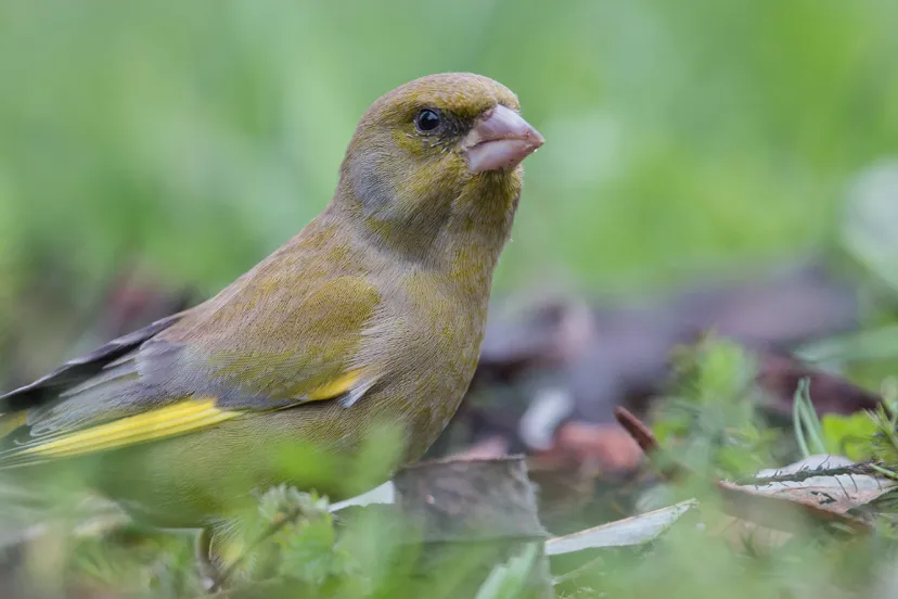 screenshot 20230130 102120