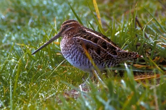 screenshot 20230206 100106