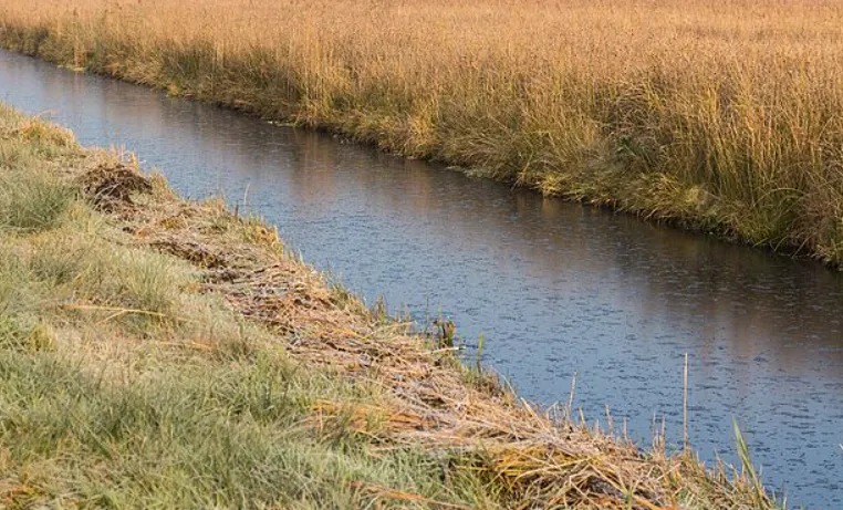 screenshot 20230206 121852