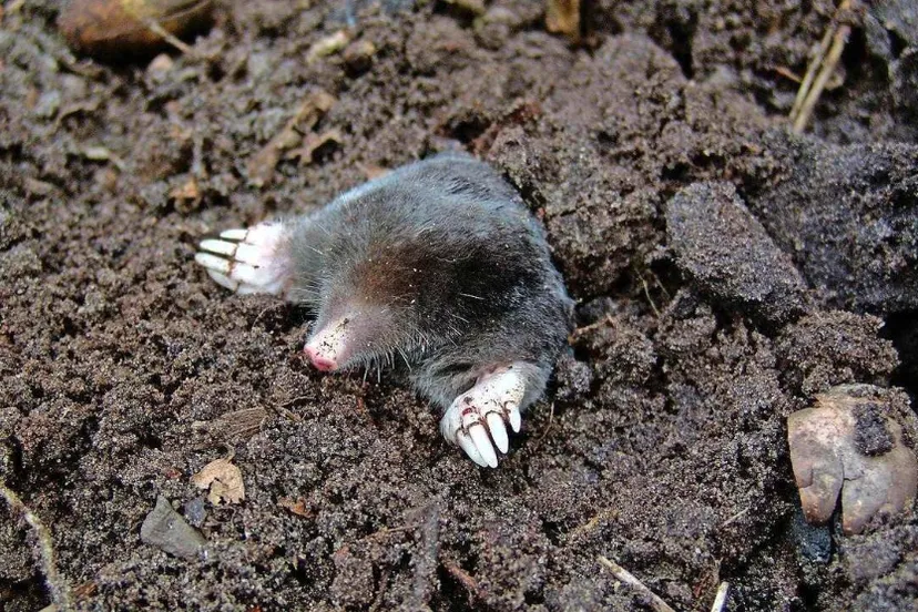 screenshot 20230211 094653