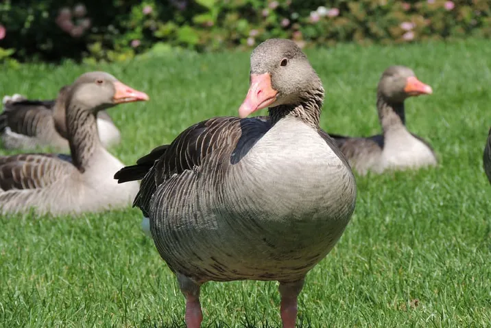 screenshot 20230216 141913