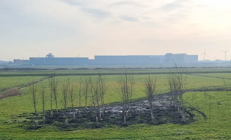 screenshot 20230217 163131