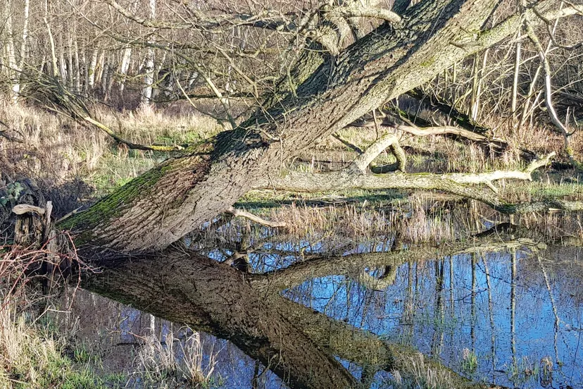 screenshot 20230228 111259