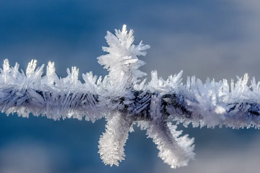 screenshot 20230304 134208