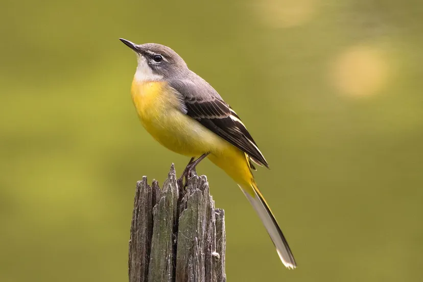 screenshot 20230313 122640