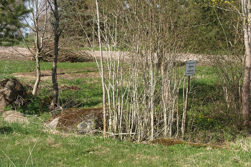 screenshot 20230314 142123