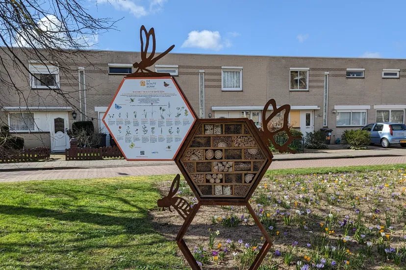 screenshot 20230323 175117