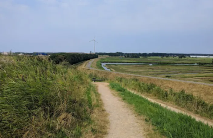 screenshot 20230328 121048