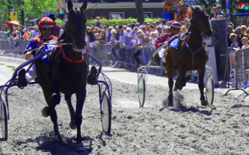 screenshot 20230404 172627 915x518 1