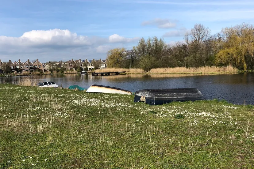 screenshot 20230405 095923