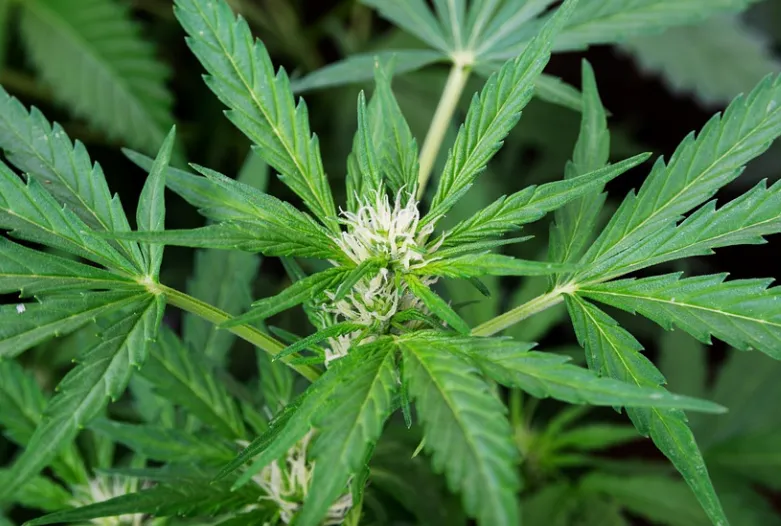 screenshot 20230405 162253