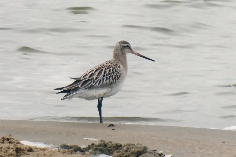 screenshot 20230415 122004