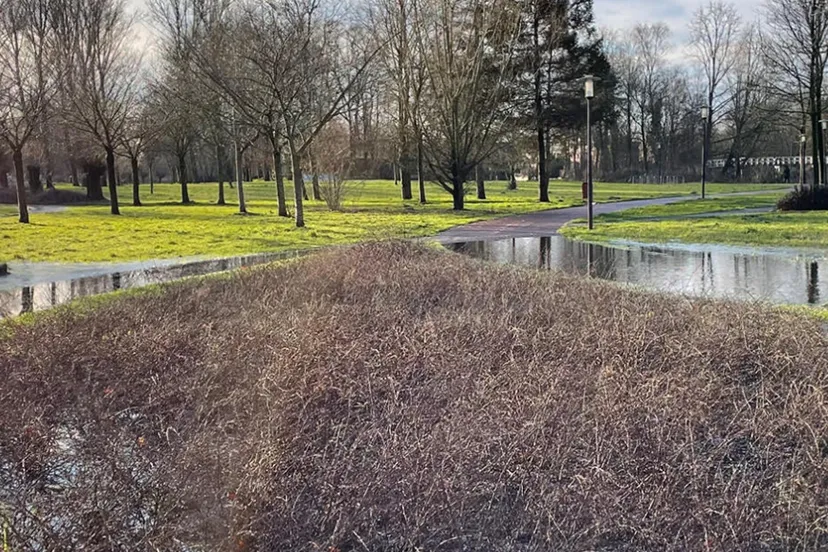 screenshot 20230501 102757