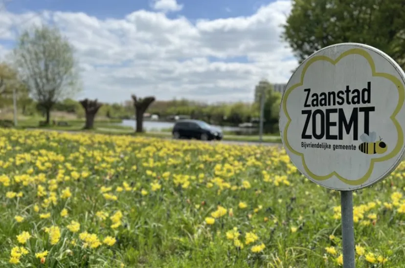 screenshot 20230509 131323