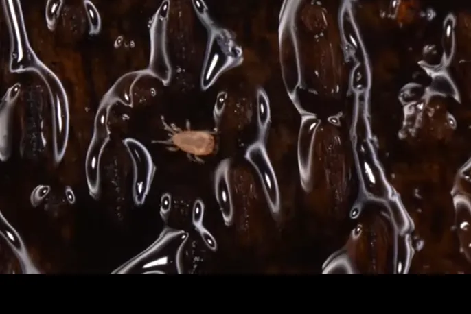 screenshot 20230511 141106