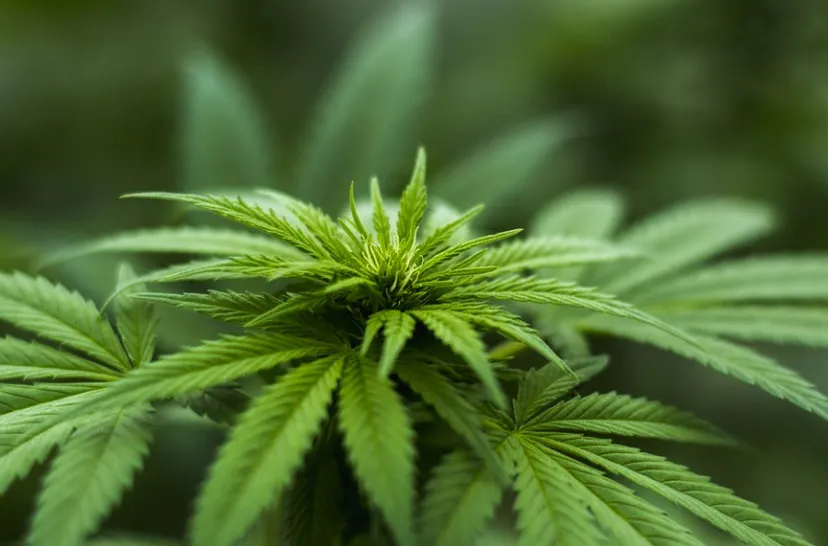 screenshot 20230511 161326