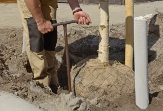 screenshot 20230515 165729