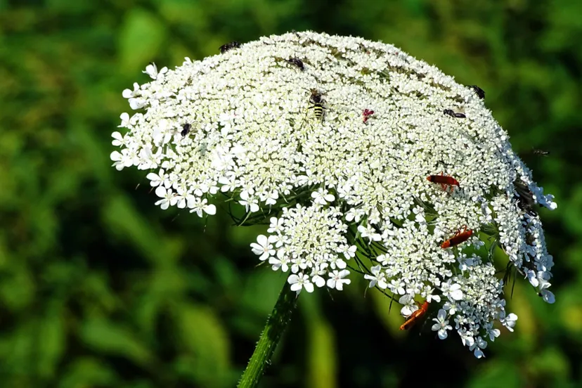 screenshot 20230516 103254