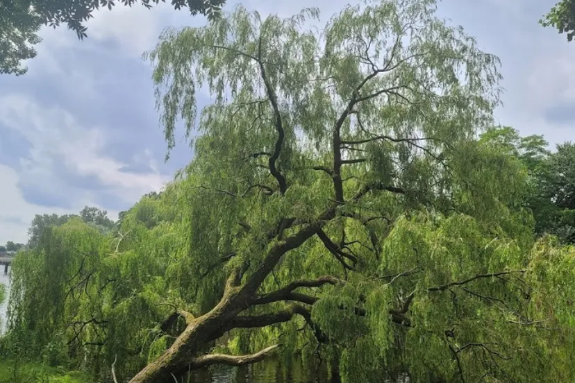 screenshot 20230519 113749