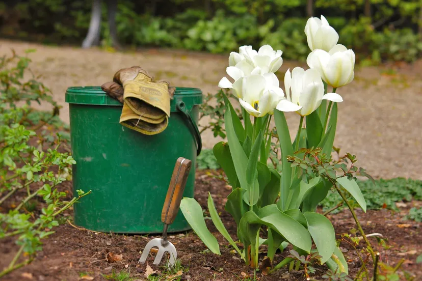 screenshot 20230601 152437