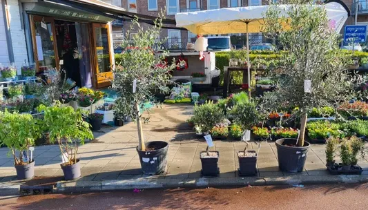 screenshot 20230603 114907