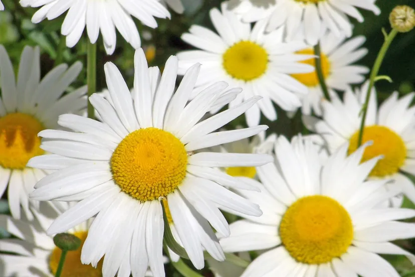 screenshot 20230604 110038