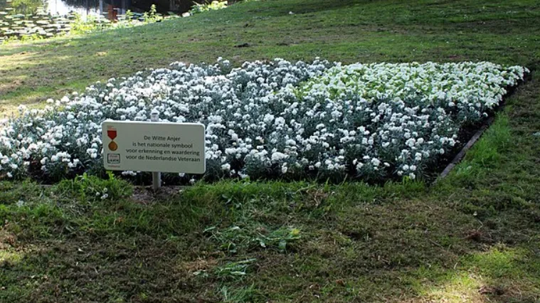 screenshot 20230607 102235