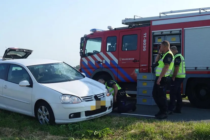 screenshot 20230609 125240