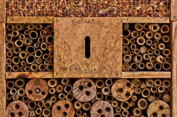 screenshot 20230613 145003