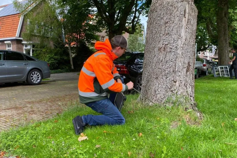 screenshot 20230617 102554