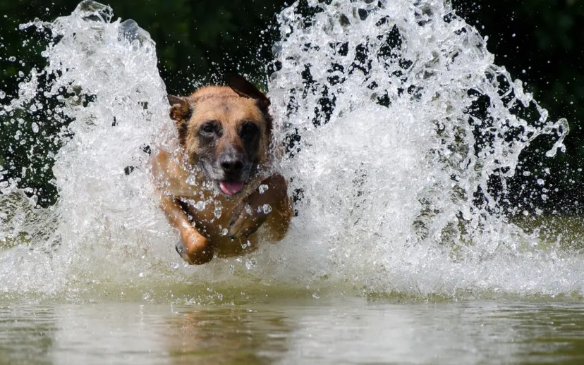 screenshot 20230617 133216