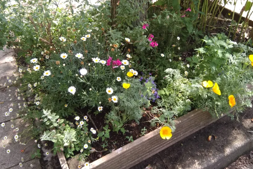 screenshot 20230619 104501