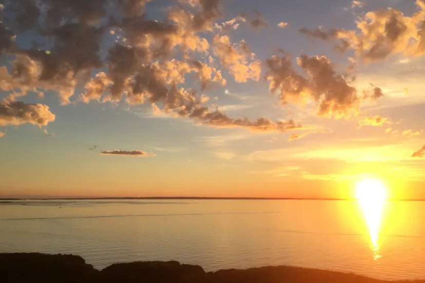 screenshot 20230625 102657