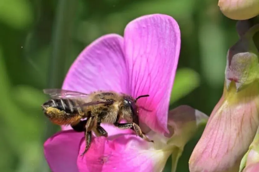 screenshot 20230627 143229