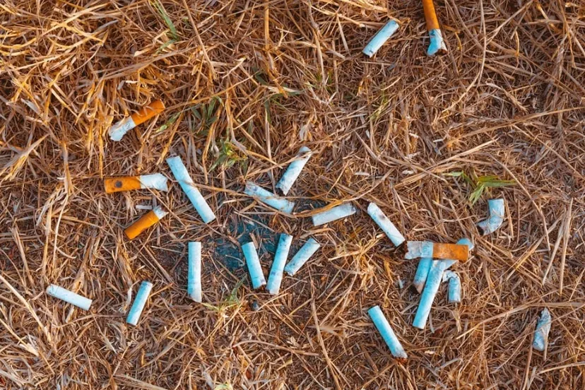 screenshot 20230630 151126