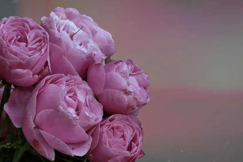 screenshot 20230703 095853