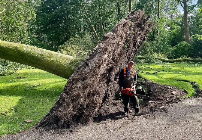 screenshot 20230706 074711