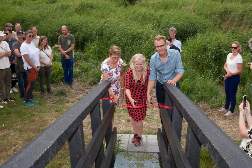 screenshot 20230717 105846