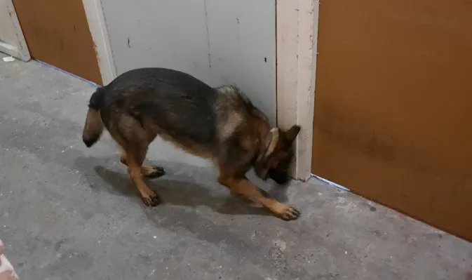 screenshot 20230719 092225