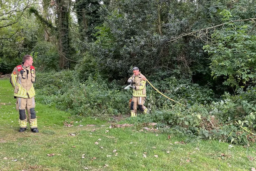 screenshot 20230720 092947