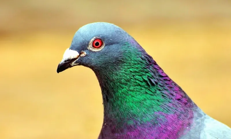 screenshot 20230721 101406