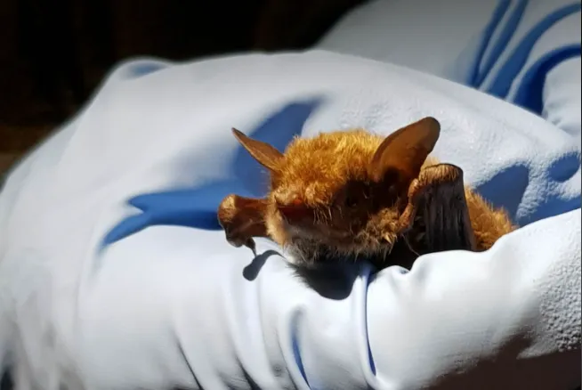 screenshot 20230725 105935