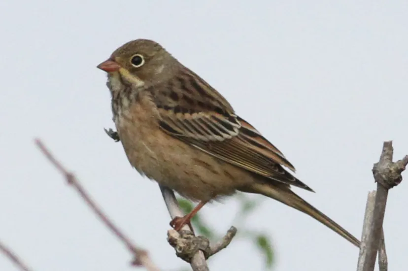 screenshot 20230725 164855