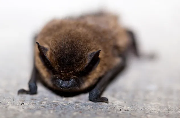 screenshot 20230802 113418